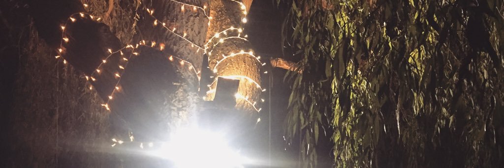 lori_mtx's profile banner image