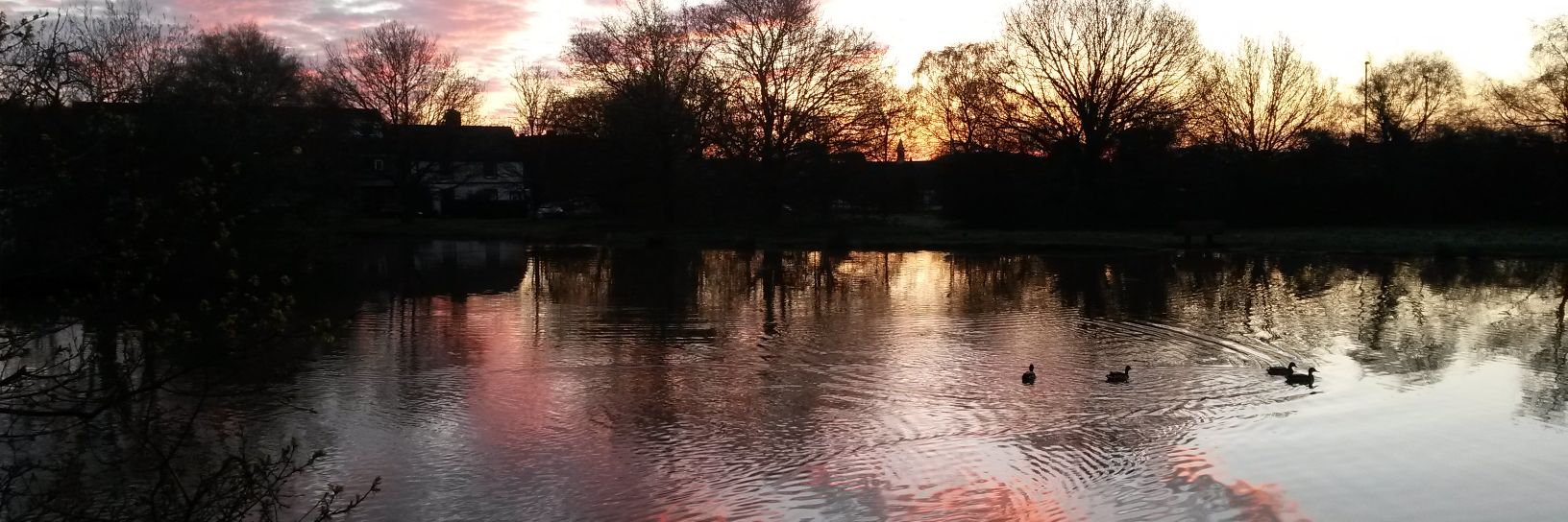 NickAtkin's profile banner image