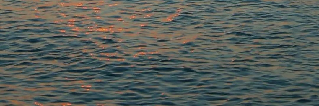cannseli's profile banner image