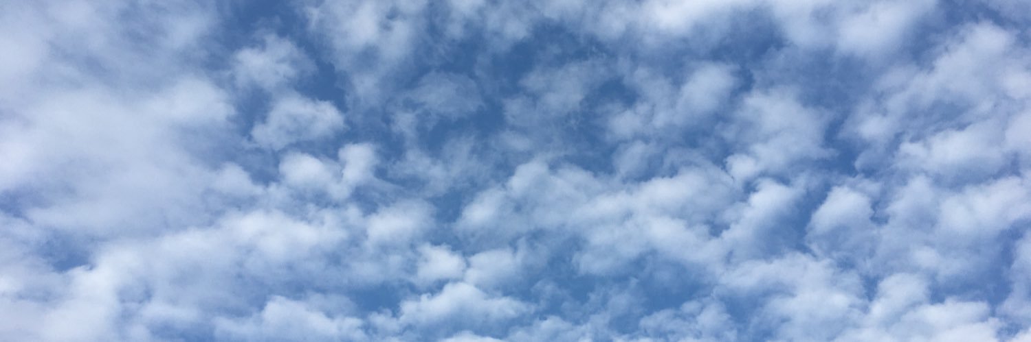 Kong Tongの淡々とした後日譚 banner