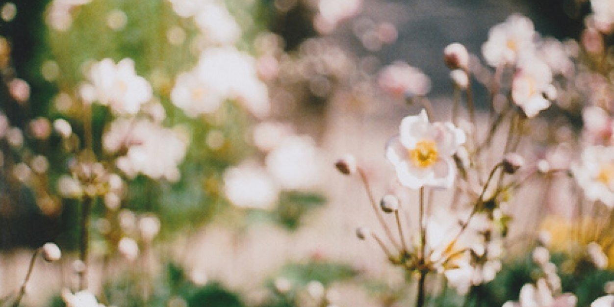 h0llywoodsource's profile banner image