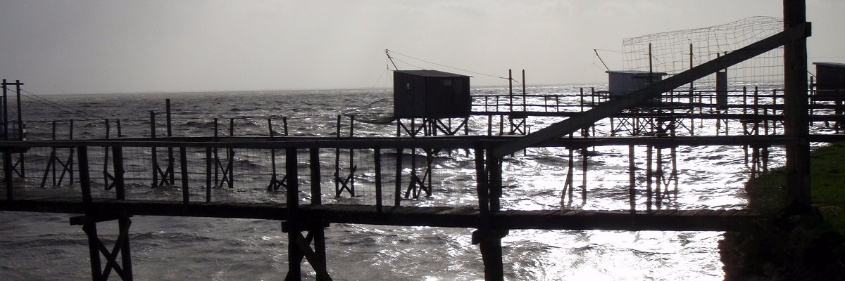 Poupeche's profile banner image