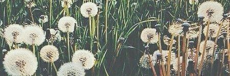 gloworm3479's profile banner image