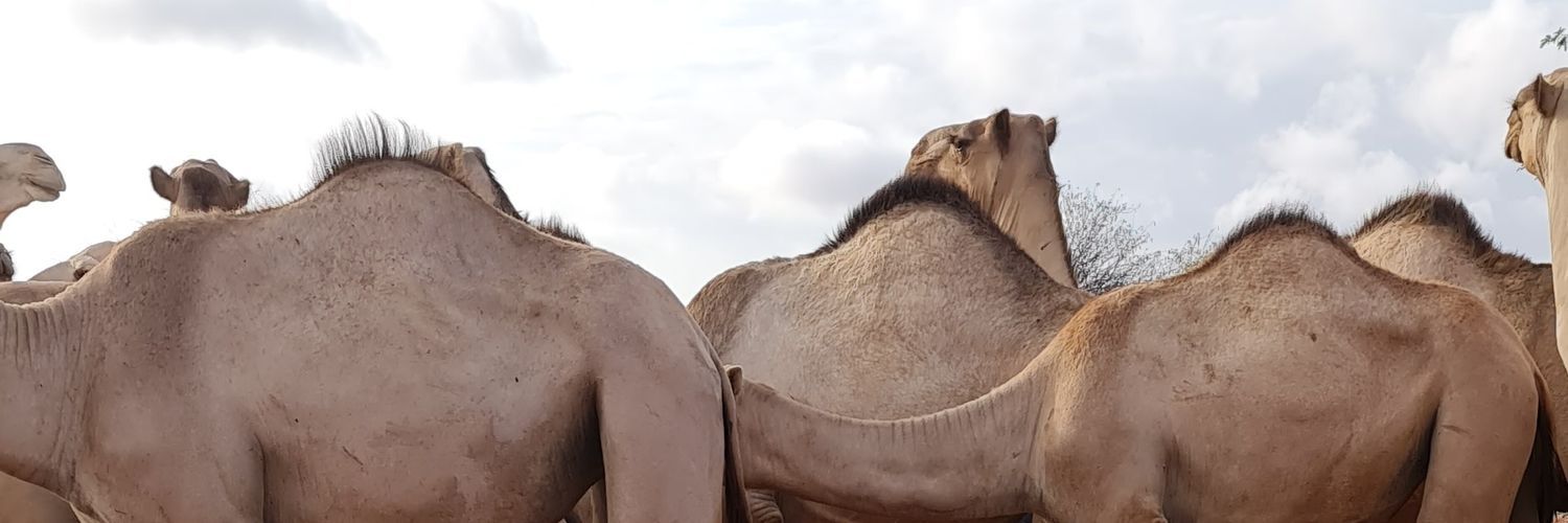 MajorGorod's profile banner image