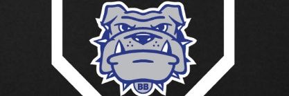 Hamilton Freshman Baseba banner