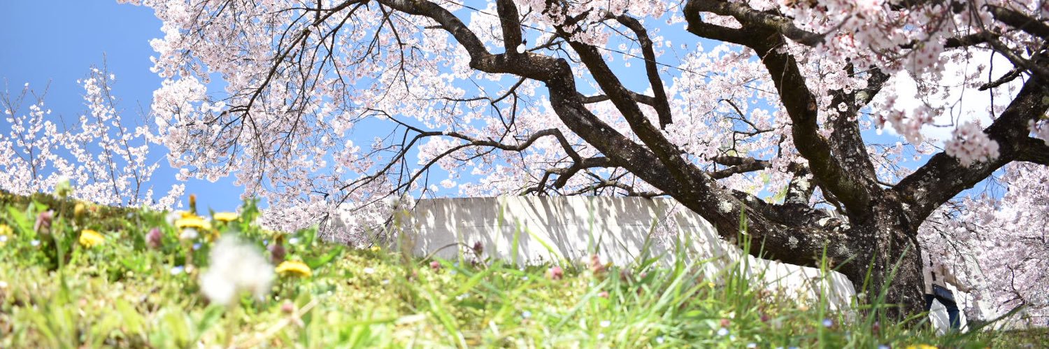 おりどん banner