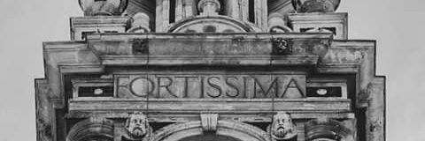 Cristian dominguez banner