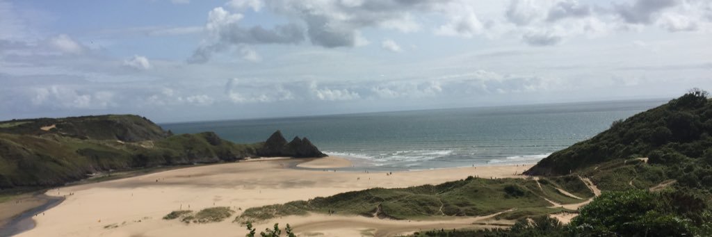 liz morgan 💙 banner