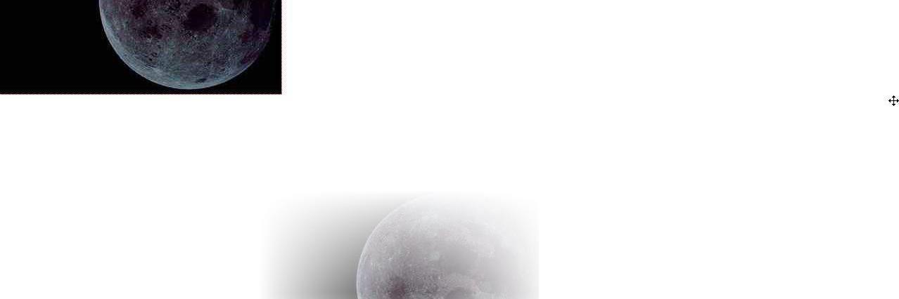 Lit1one's profile banner image
