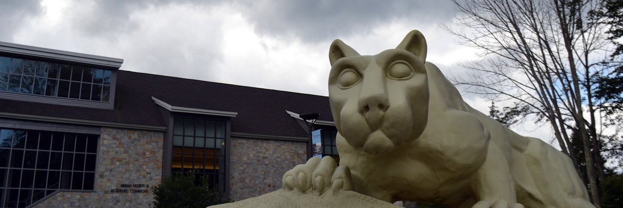 PSU Wilkes-Barre banner