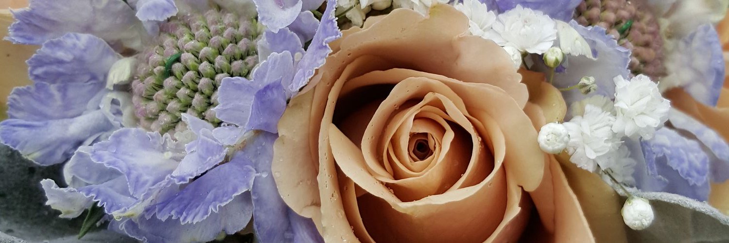 TSGFlowers's profile banner image