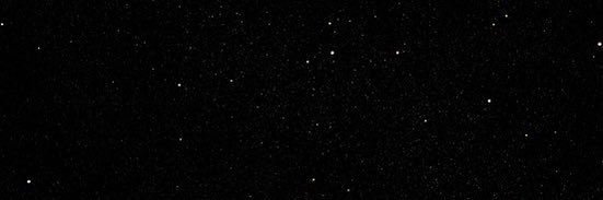 Paige Cole banner