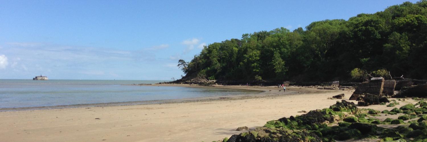 Fiona Larkin @fionalarkin.bsky.social banner