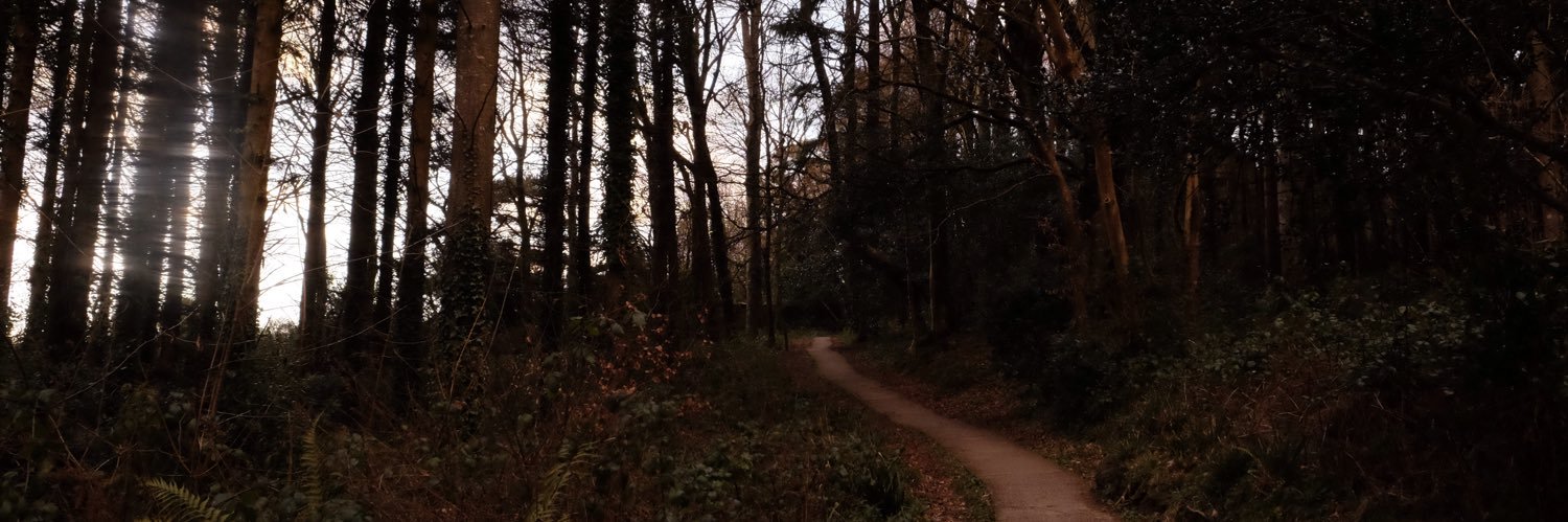 Orlaith_Treacy's profile banner image