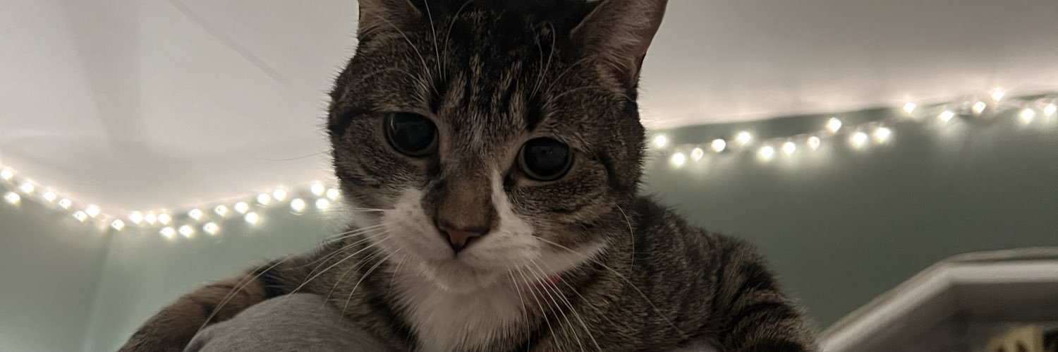 TessGorton's profile banner image