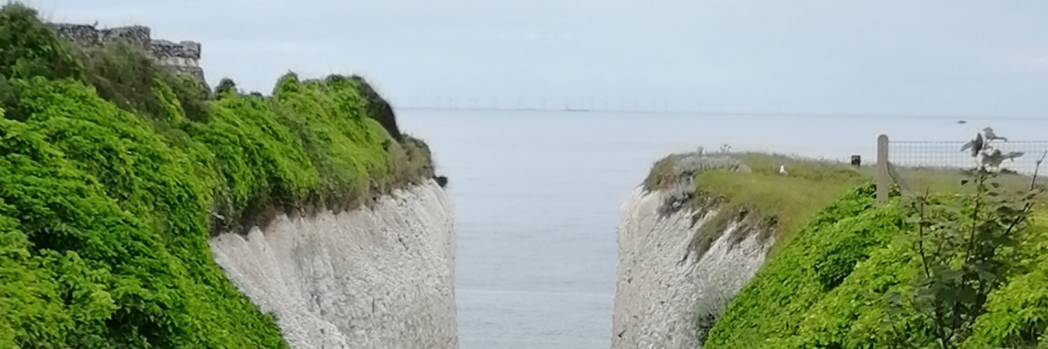 Dr Amy Evans Bauer banner