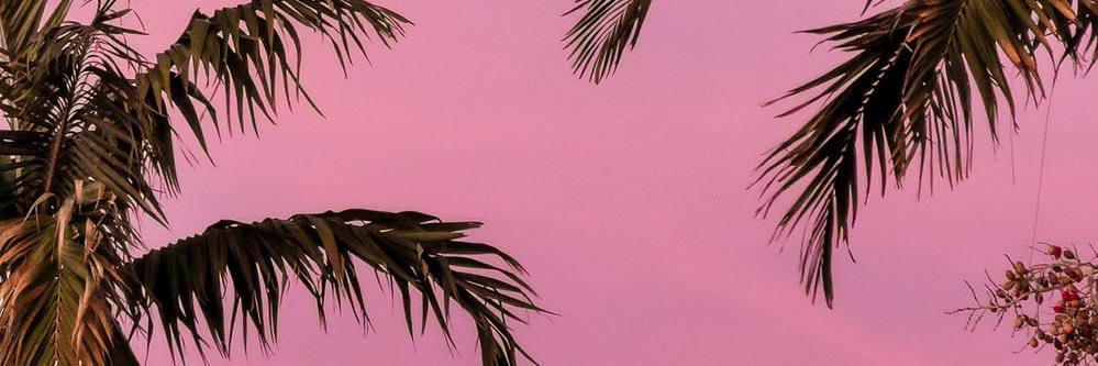 ItCedes's profile banner image