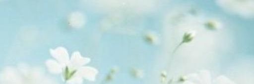 ra7eal2's profile banner image