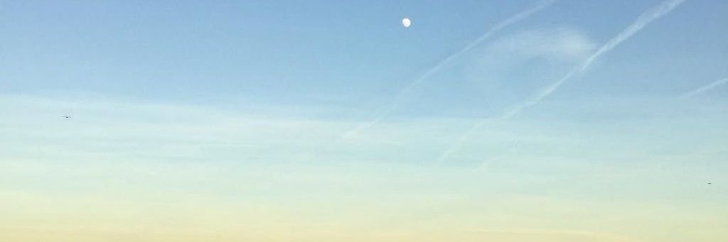 florian_hartman's profile banner image