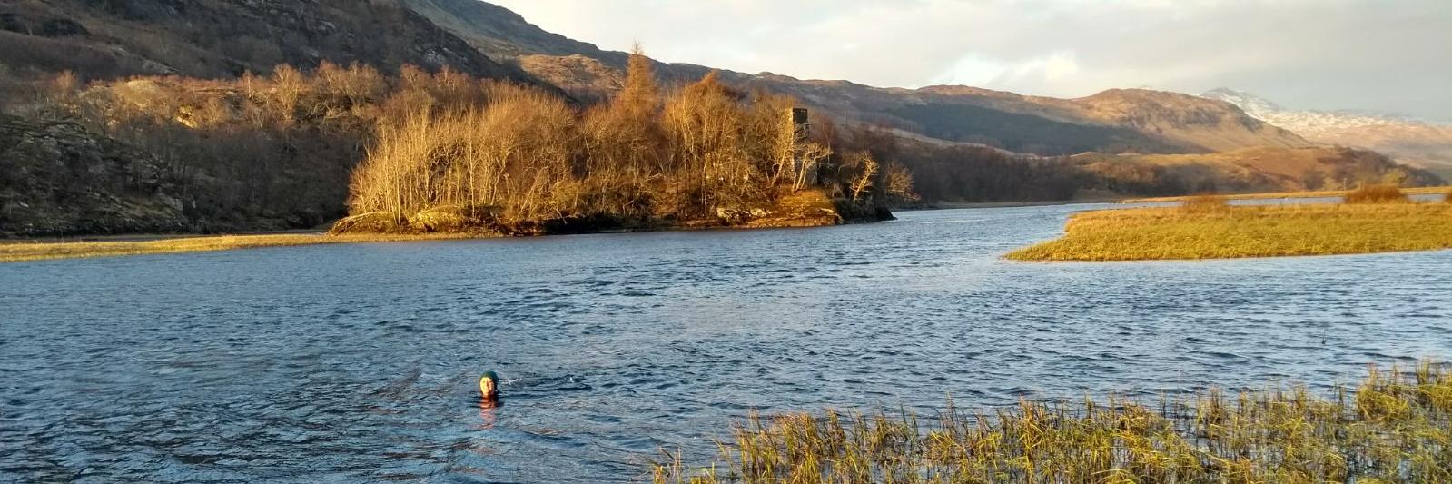 Chloe Bellamy banner