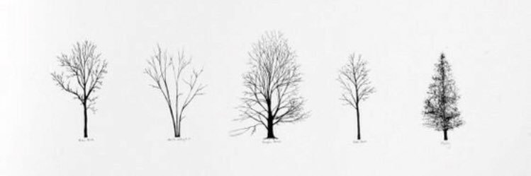 aly_mercer's profile banner image