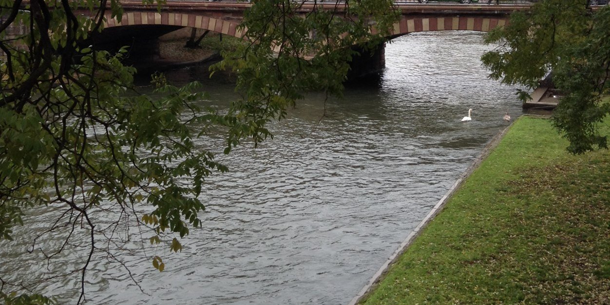 Preethi Herman banner