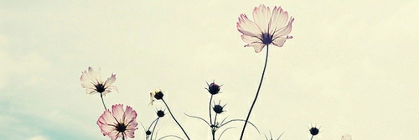 Urbiina_06's profile banner image