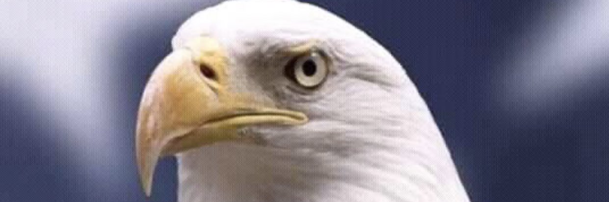 upjesus's profile banner image