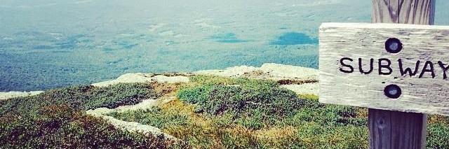 davisdunavin's profile banner image