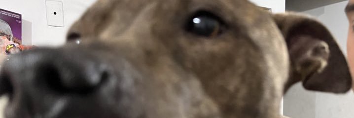 lezlyffarias's profile banner image