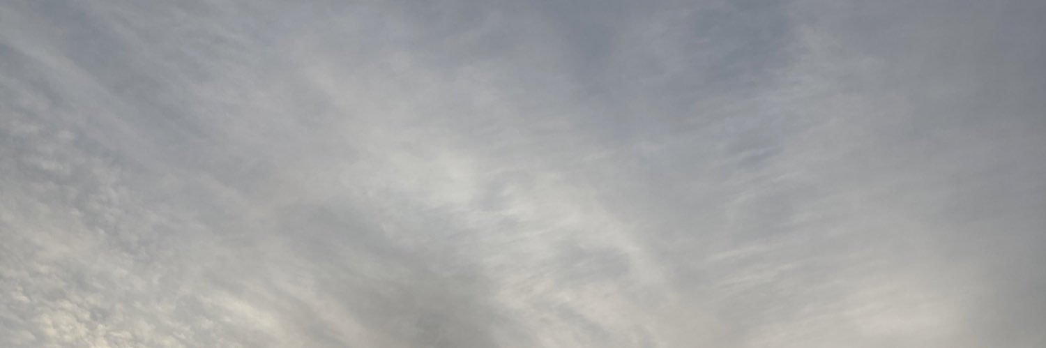 Jamie Reddington banner