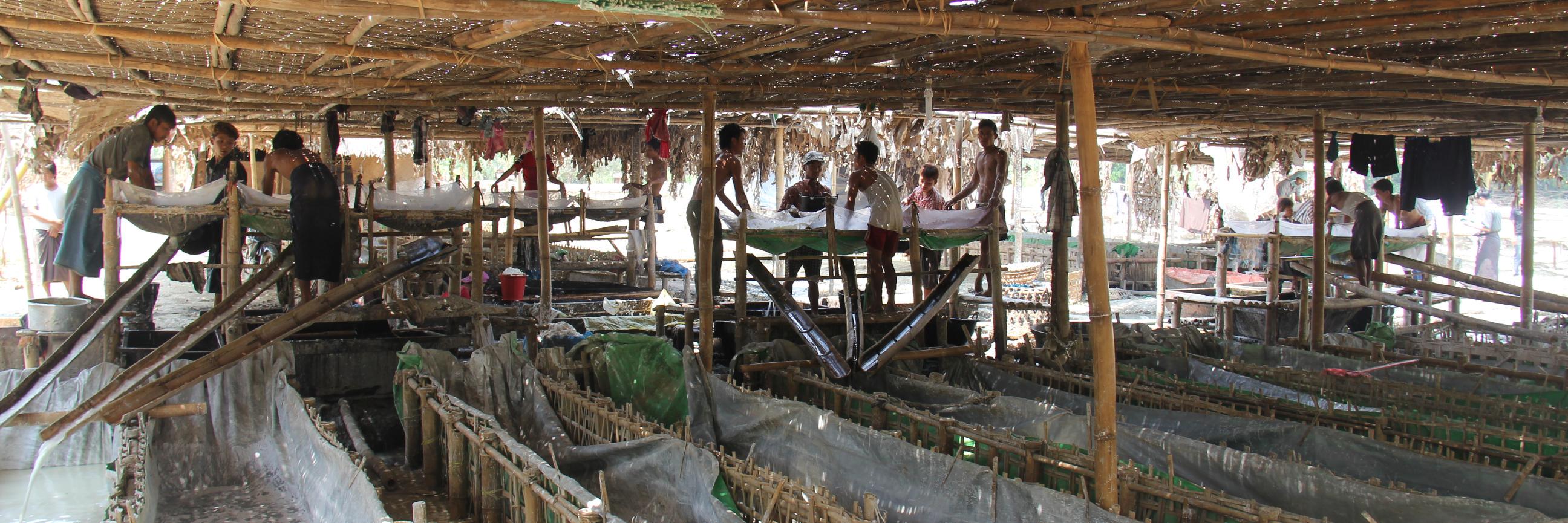 Jonathan Newby banner