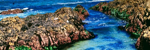 Sdeyoung1 Profile Banner