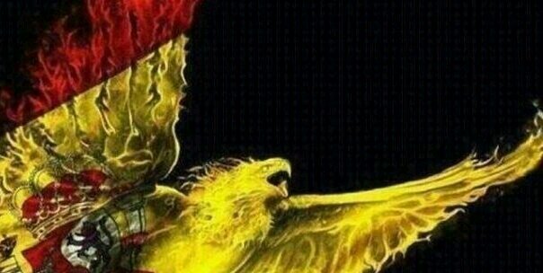 jmelli10's profile banner image
