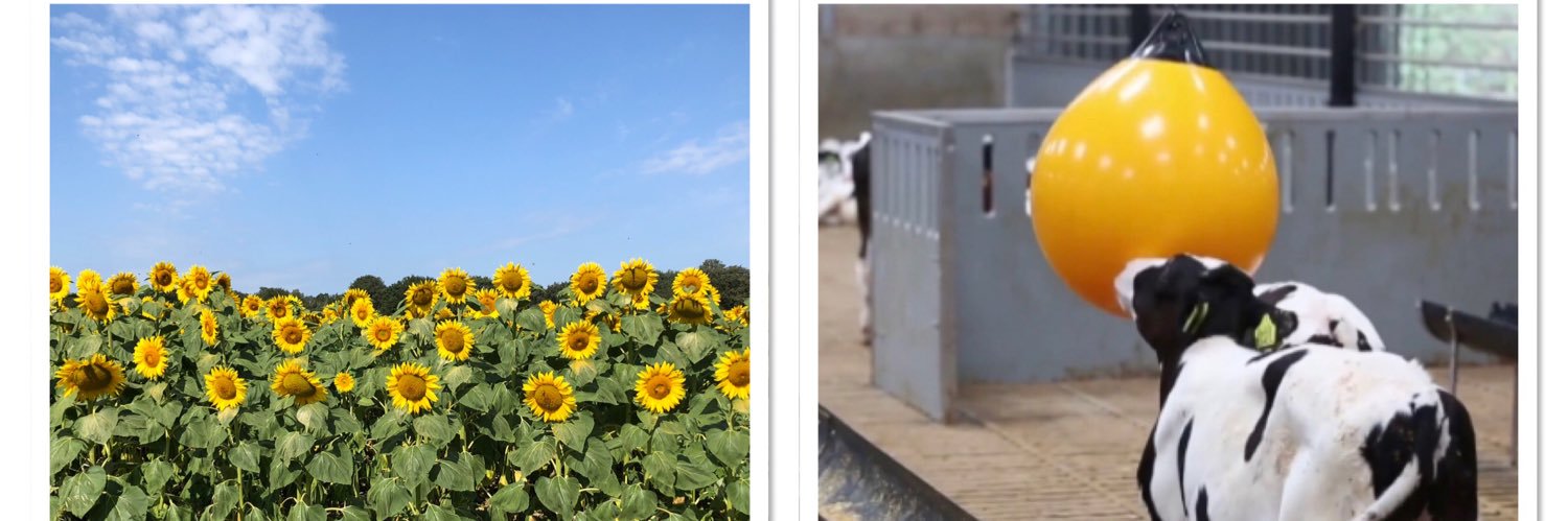 Reinder Markerink banner