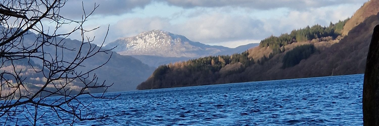 FFS 🏐⚽️ banner