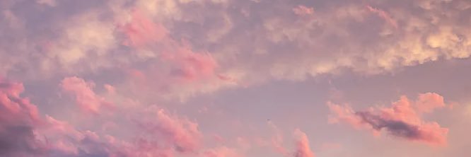 NLBurgessx's profile banner image