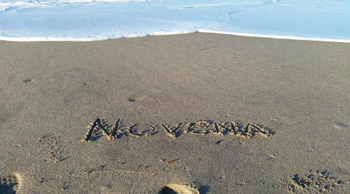 msnovena's profile banner image