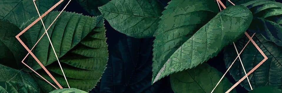 fifah27's profile banner image