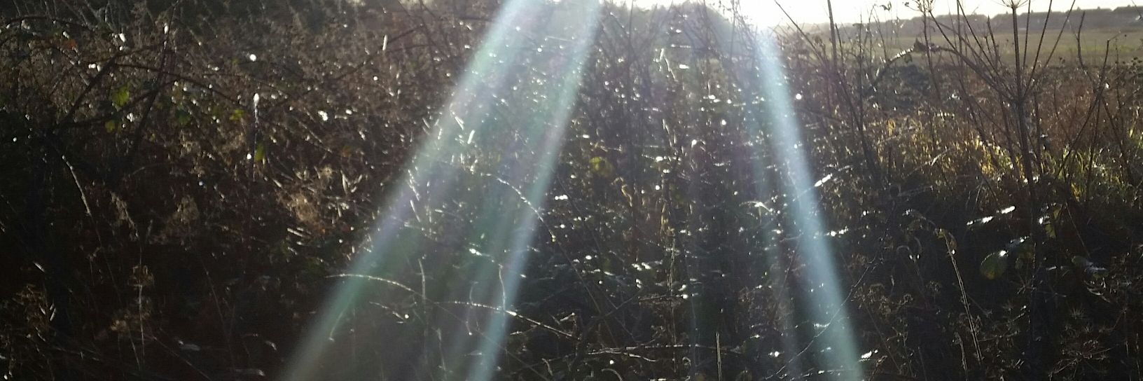 CraigSneddon2's profile banner image
