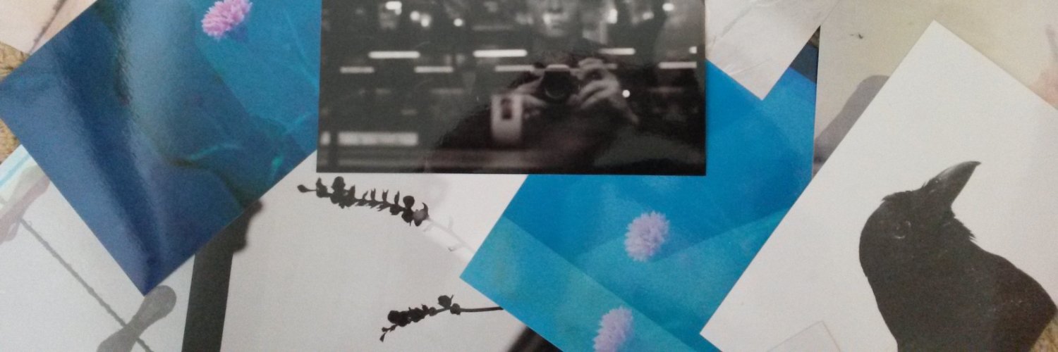 SheIsRevolting's profile banner image