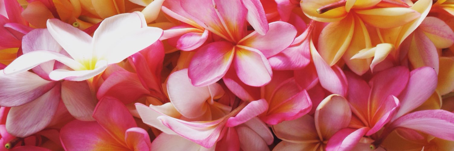 puspit's profile banner image