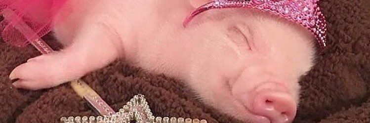 ceddohemosho's profile banner image