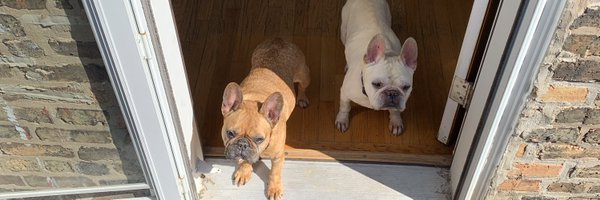 MelissaStanner Profile Banner