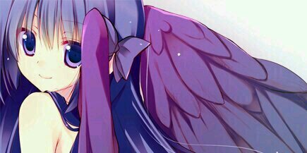 000Whitewing's profile banner image
