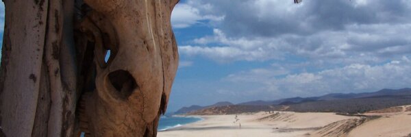 ReneeGeiger Profile Banner