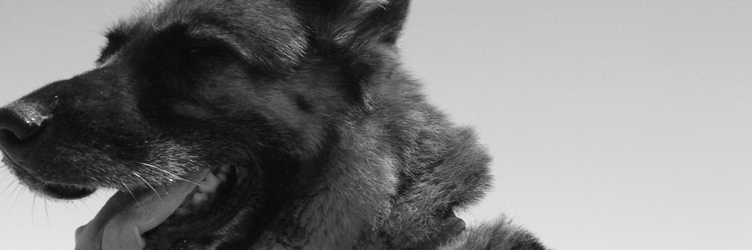 ParedesDl's profile banner image