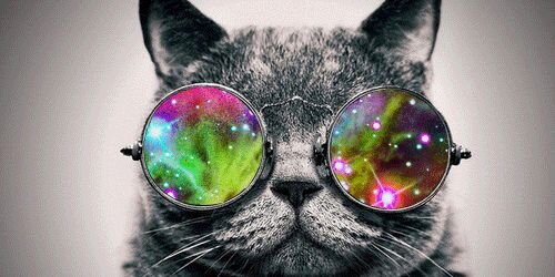 AleePutelli's profile banner image
