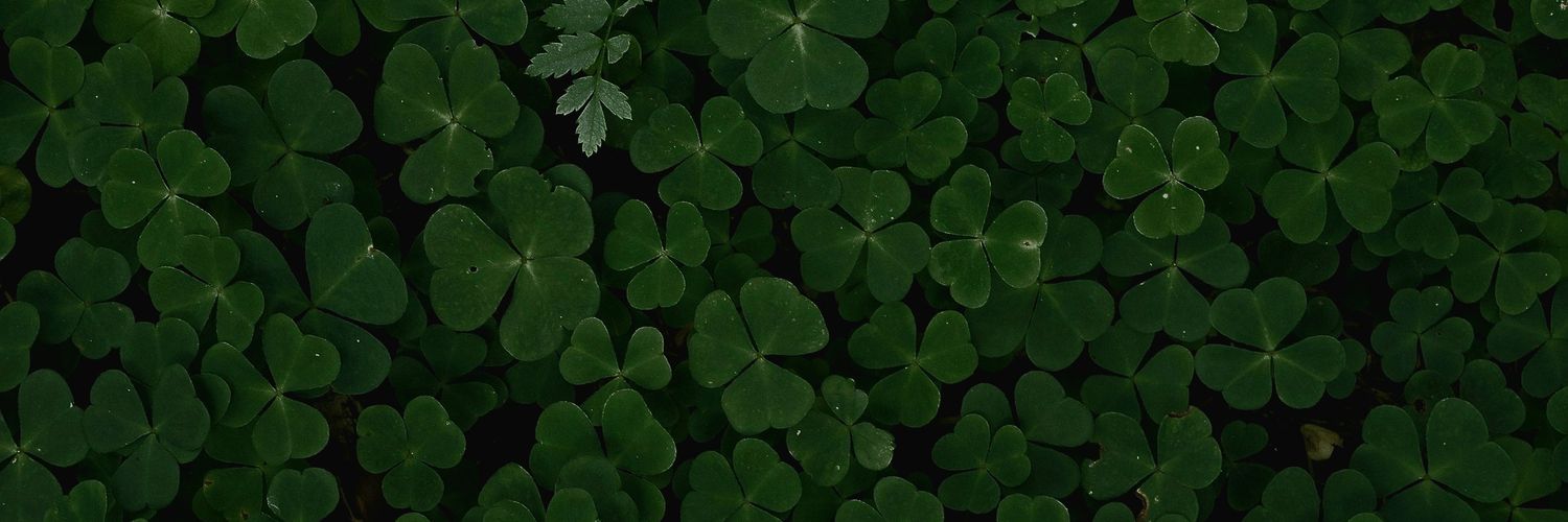 turtlepod's profile banner image