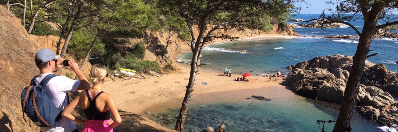 Emily Collins banner